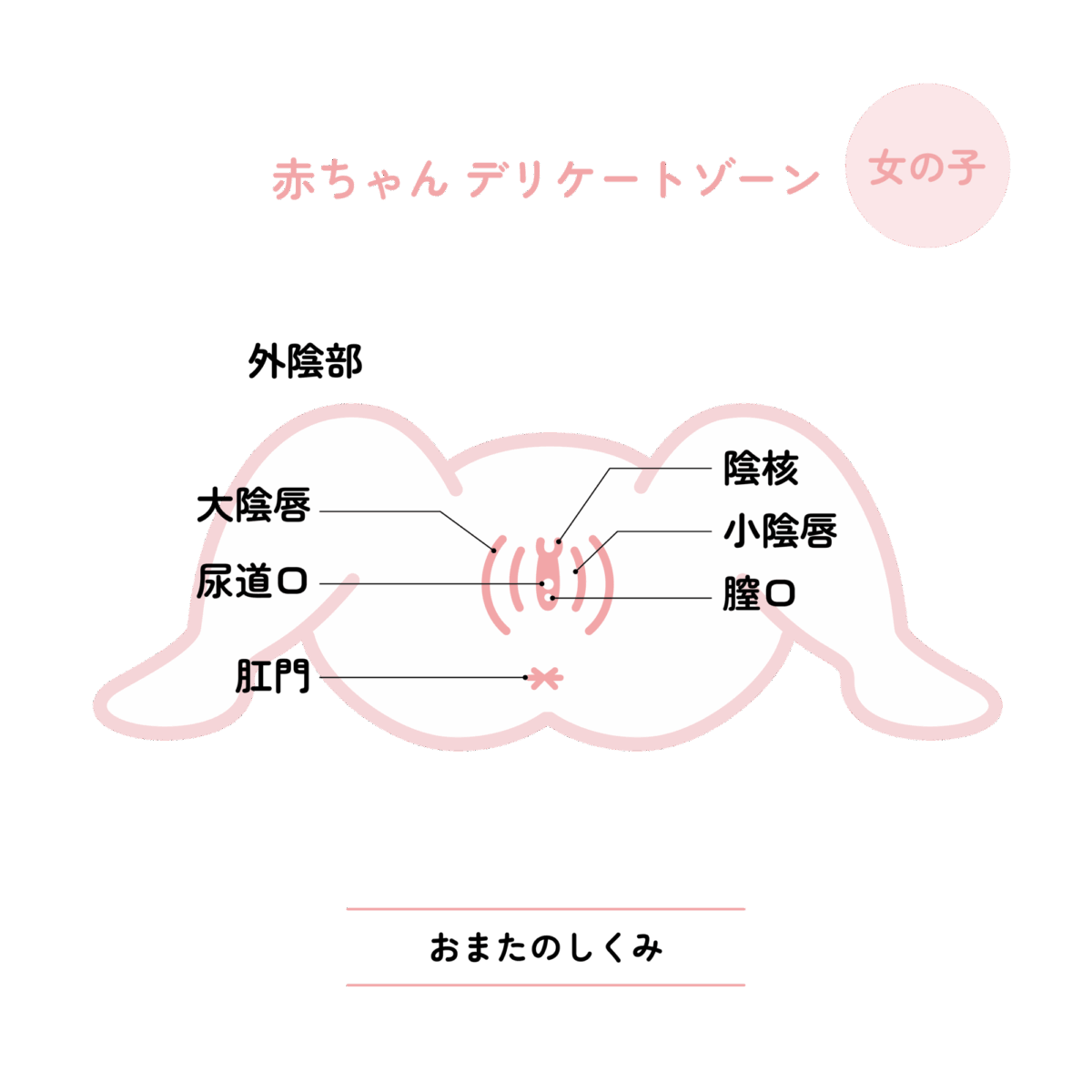 赤ちゃんのデリケートゾーン（女の子）